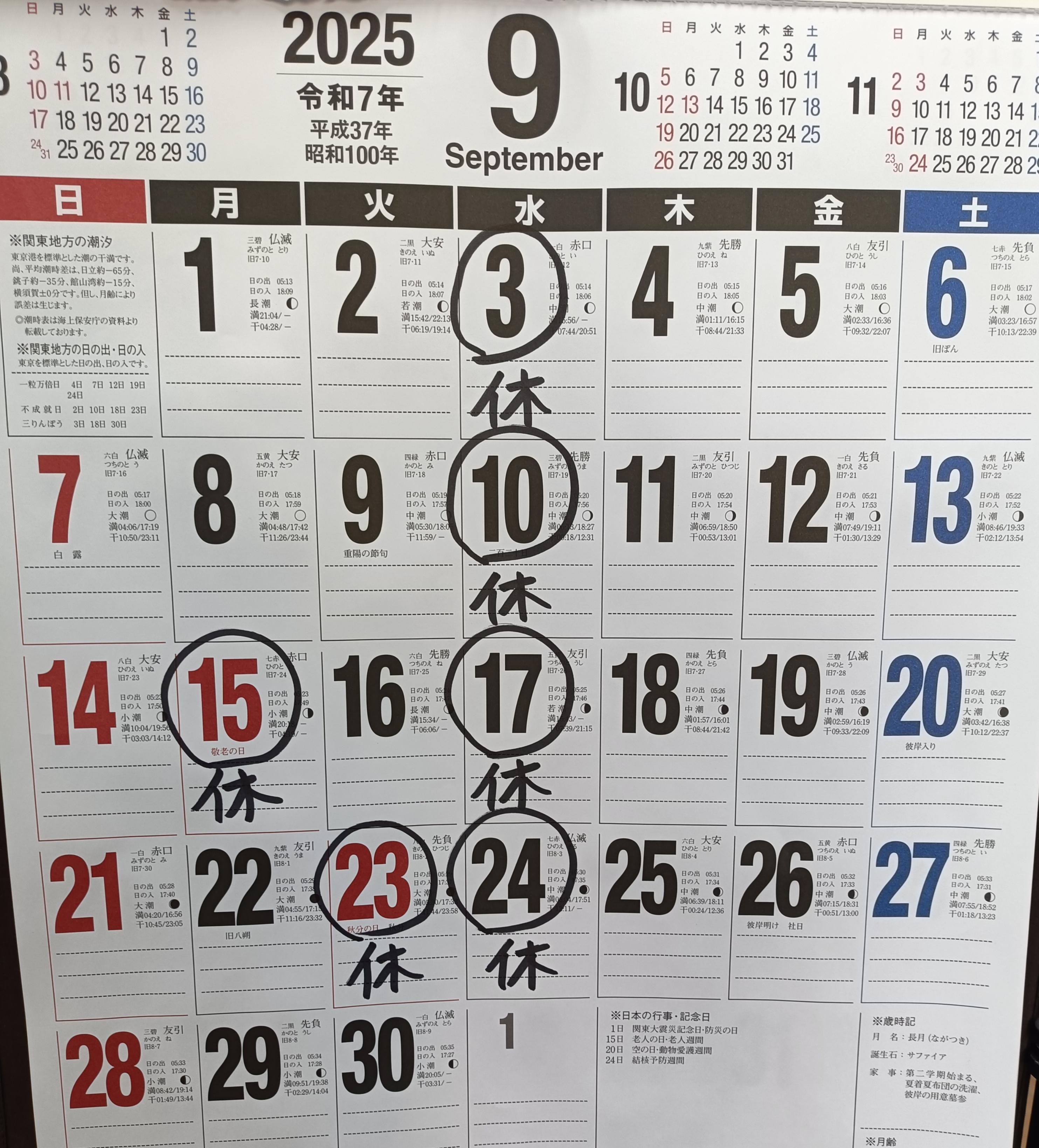 ダウンロード
